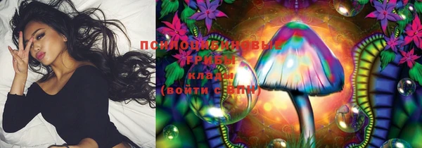 стафф Алзамай