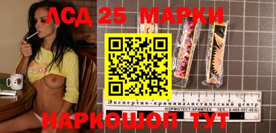 индика Славгород