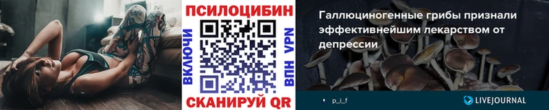 Псилоцибиновые грибы Cubensis  где купить   Похвистнево 