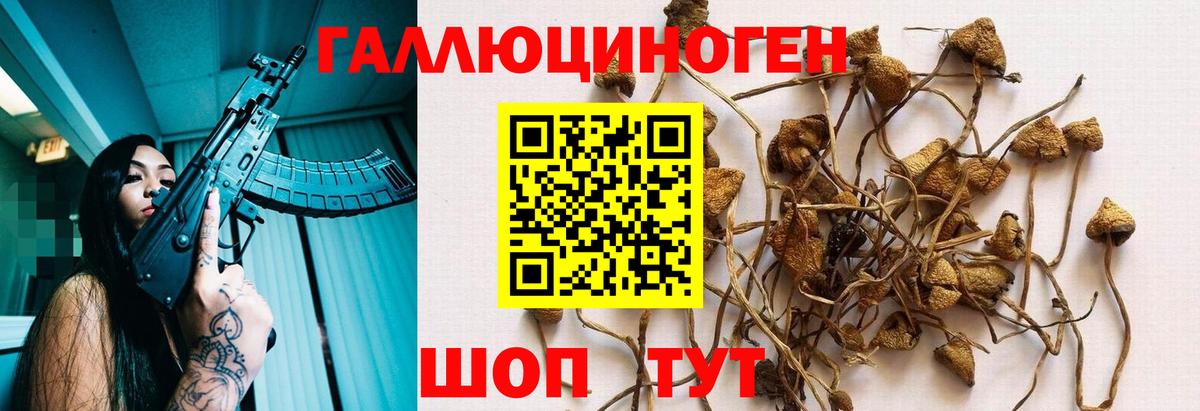 Псилоцибиновые грибы ЛСД  Вход с VPN  Галлюциногенные грибы GOLDEN TEACHER  Похвистнево 
